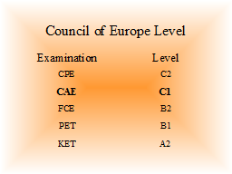 Council of Europe Level